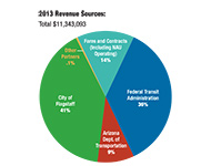 A pie chart showing the percentage of revenue in financial audit reports.