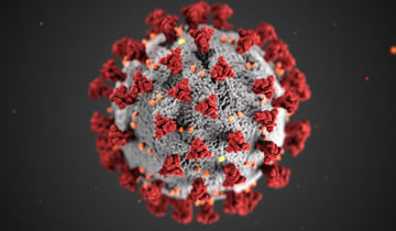 Coronavirus virus isolated on black background - coronavirus stock videos & royalty-free footage.